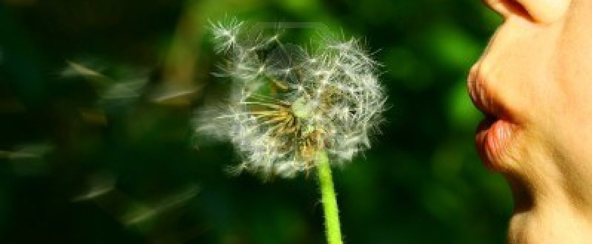 La Fibrosis Quística